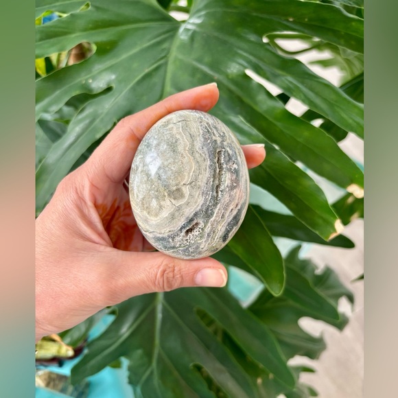 Ocean Jasper Palmstone - Picture 5 of 6